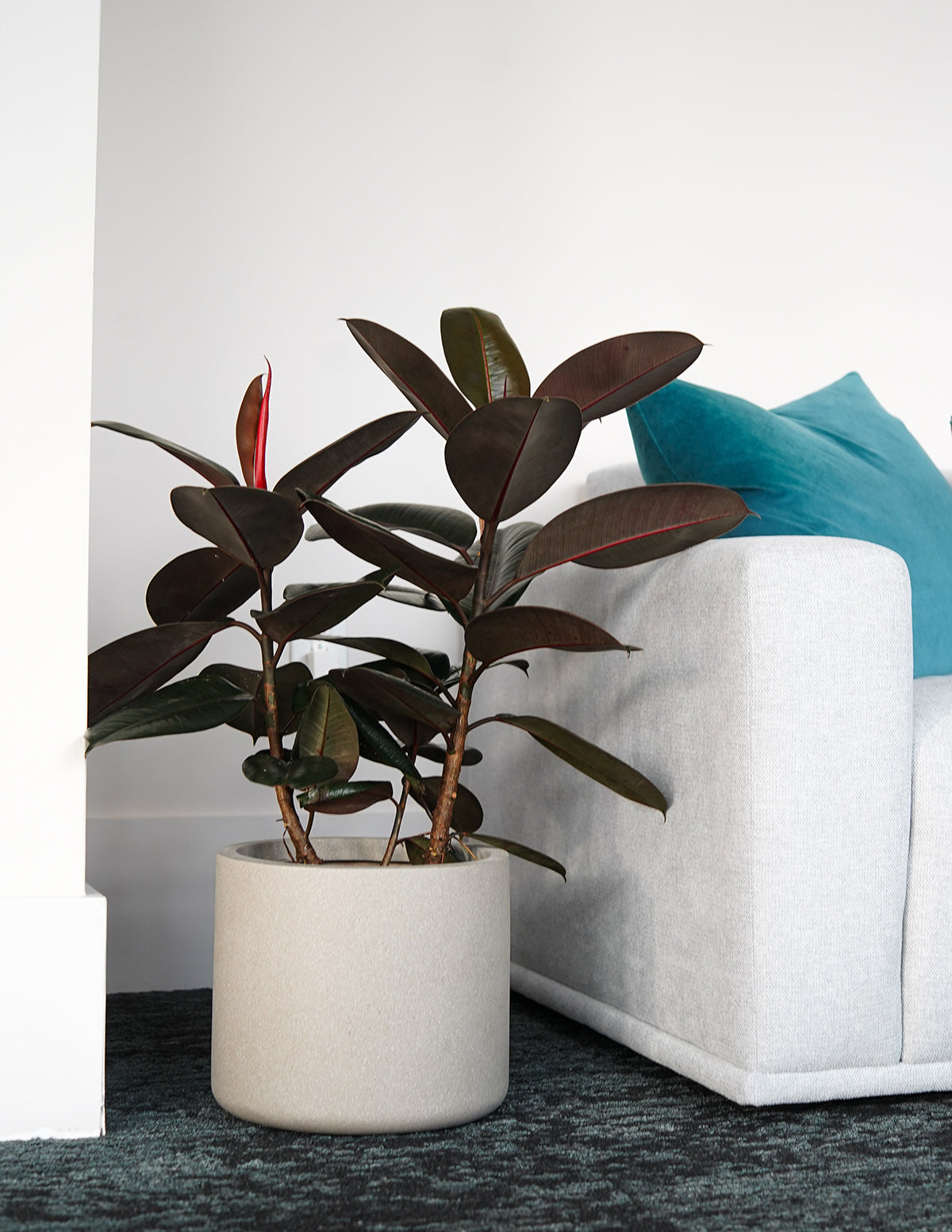 indoor planter for tree Cement Grey Agnes Planter