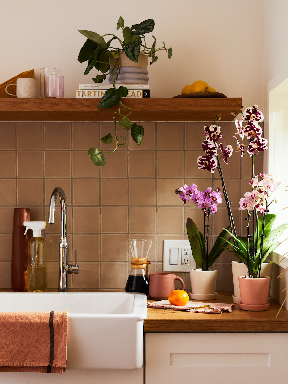 Orchid Confetti Party Pack