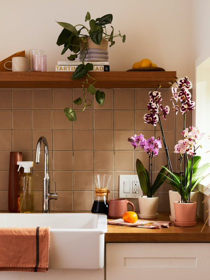 Orchid Confetti Party Pack