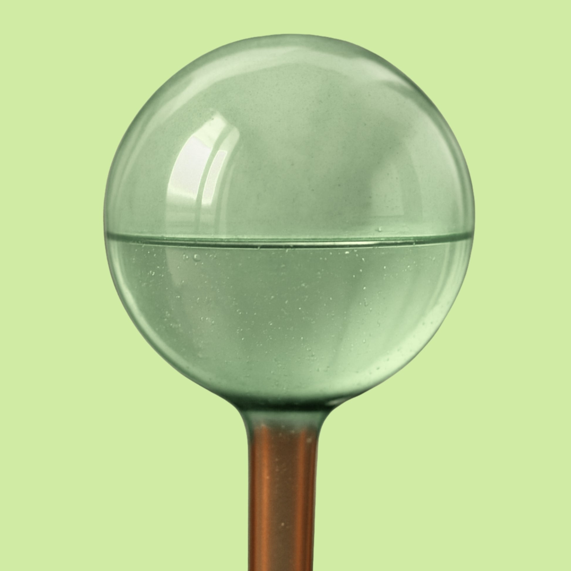 self watering bulbs for indoor plants Self Watering Plant Globes