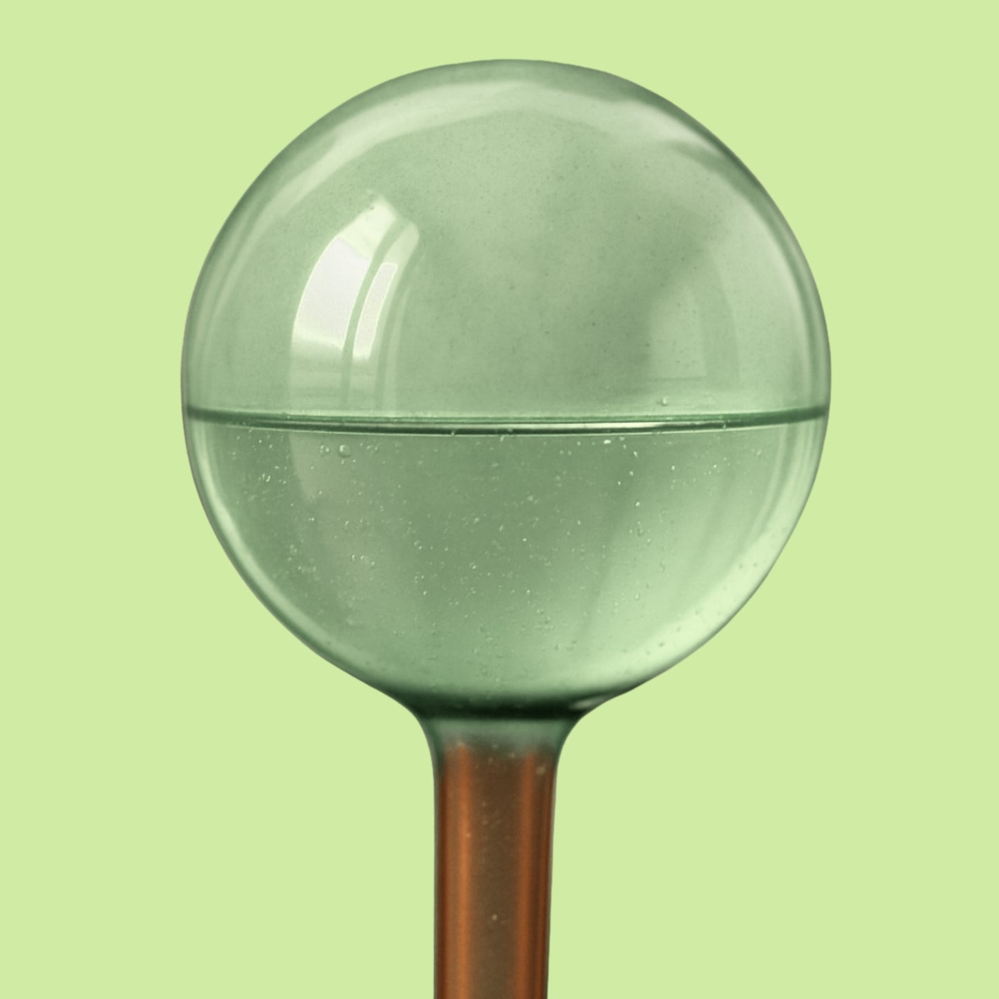 Self Watering Plant Globes