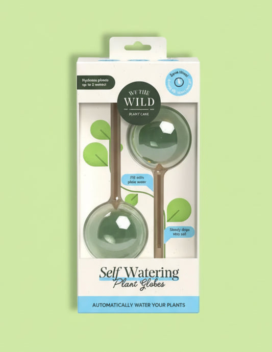 Self Watering Plant Globes