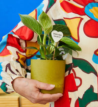Solid Goods Planter with Stand
