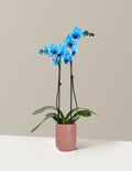 Blue Watercolor Orchid