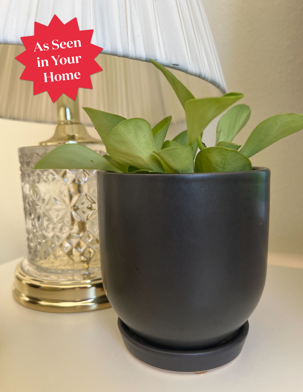 planter pots ceramic Westcott Ceramic Planter with Drainage & Saucer | Planters & Pots