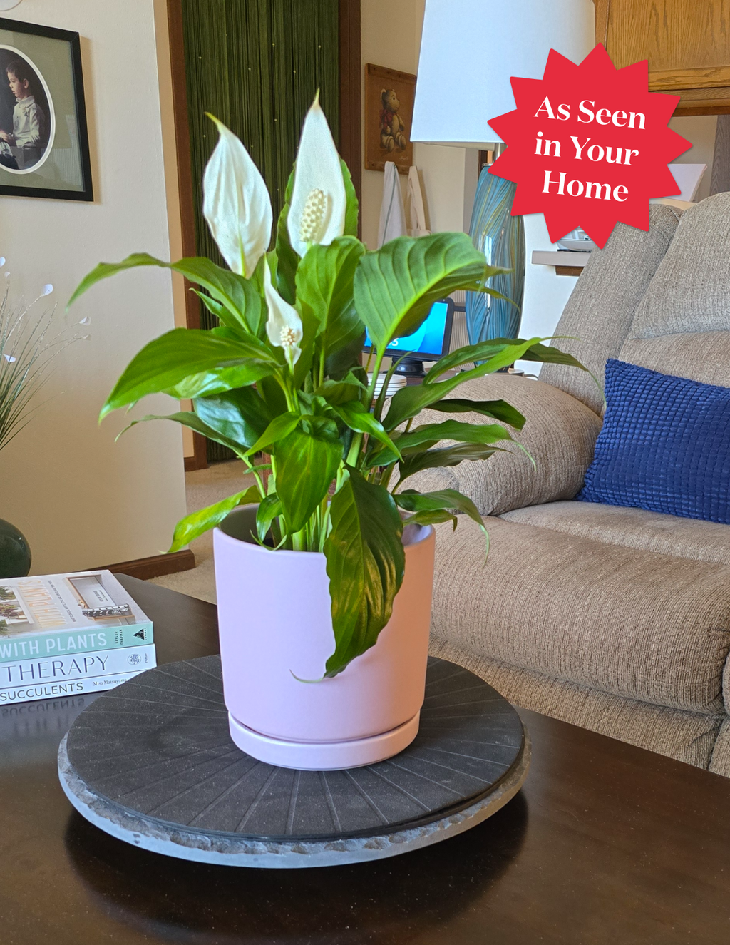 Peace Lily