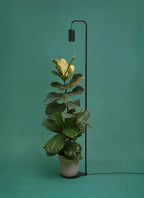 Aspect Grow Light with Stello Pendant Stand Set