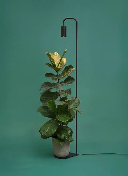 Aspect Grow Light with Stello Pendant Stand Set