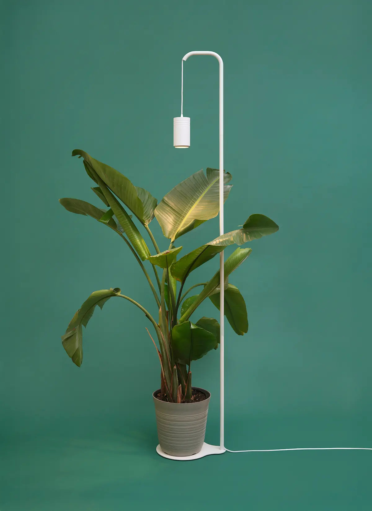Aspect Grow Light with Stello Pendant Stand Set