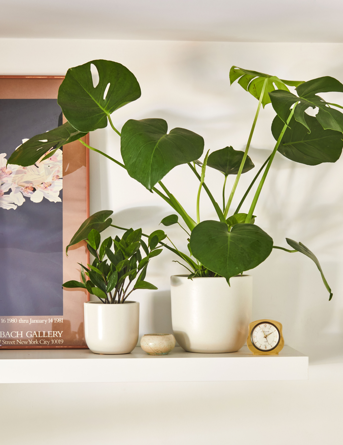 cream indoor planter Black Grant Ceramic Planters Duo - Small/Medium