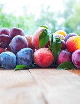 Fruit Cocktail Tree