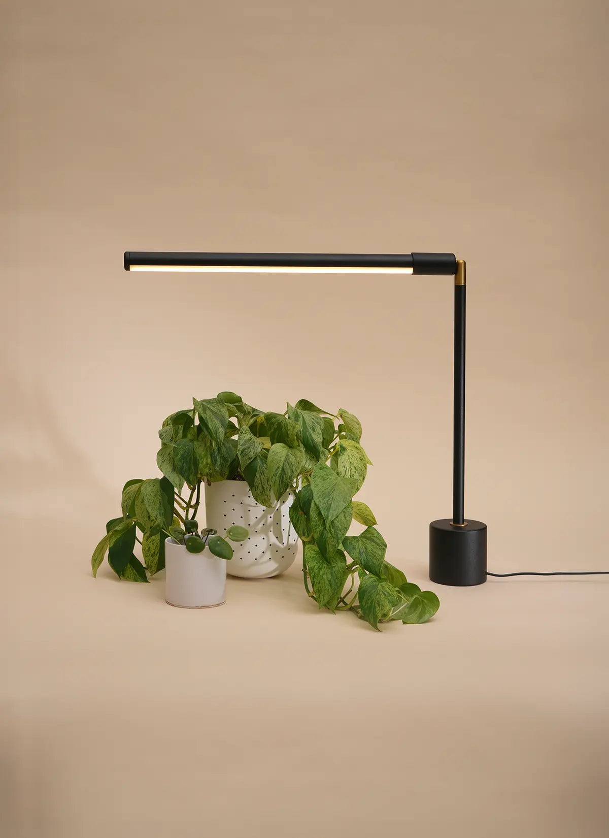 tabletop grow lights for plants Versa Tabletop Grow Light