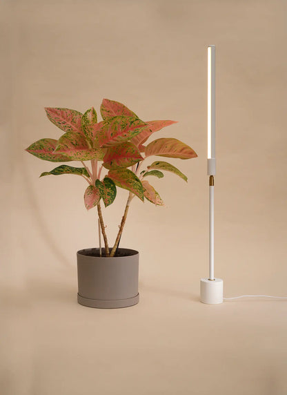 Versa Tabletop Grow Light