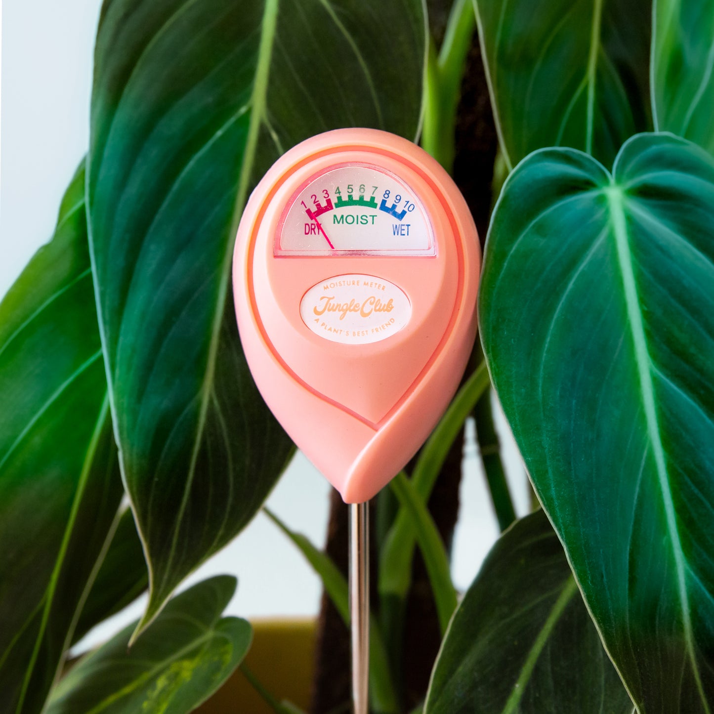 Moisture Meter