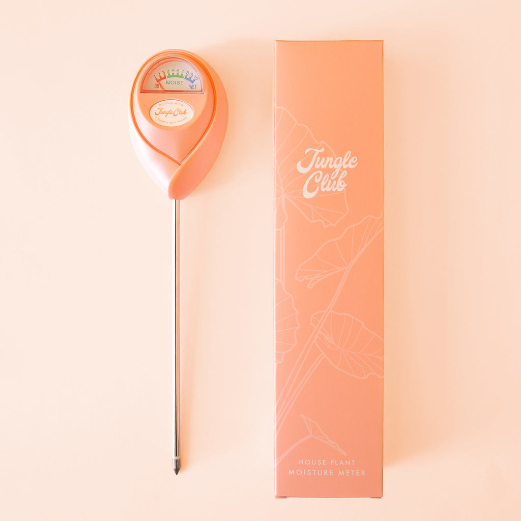 bundle | Moisture Meter | Grapefruit
