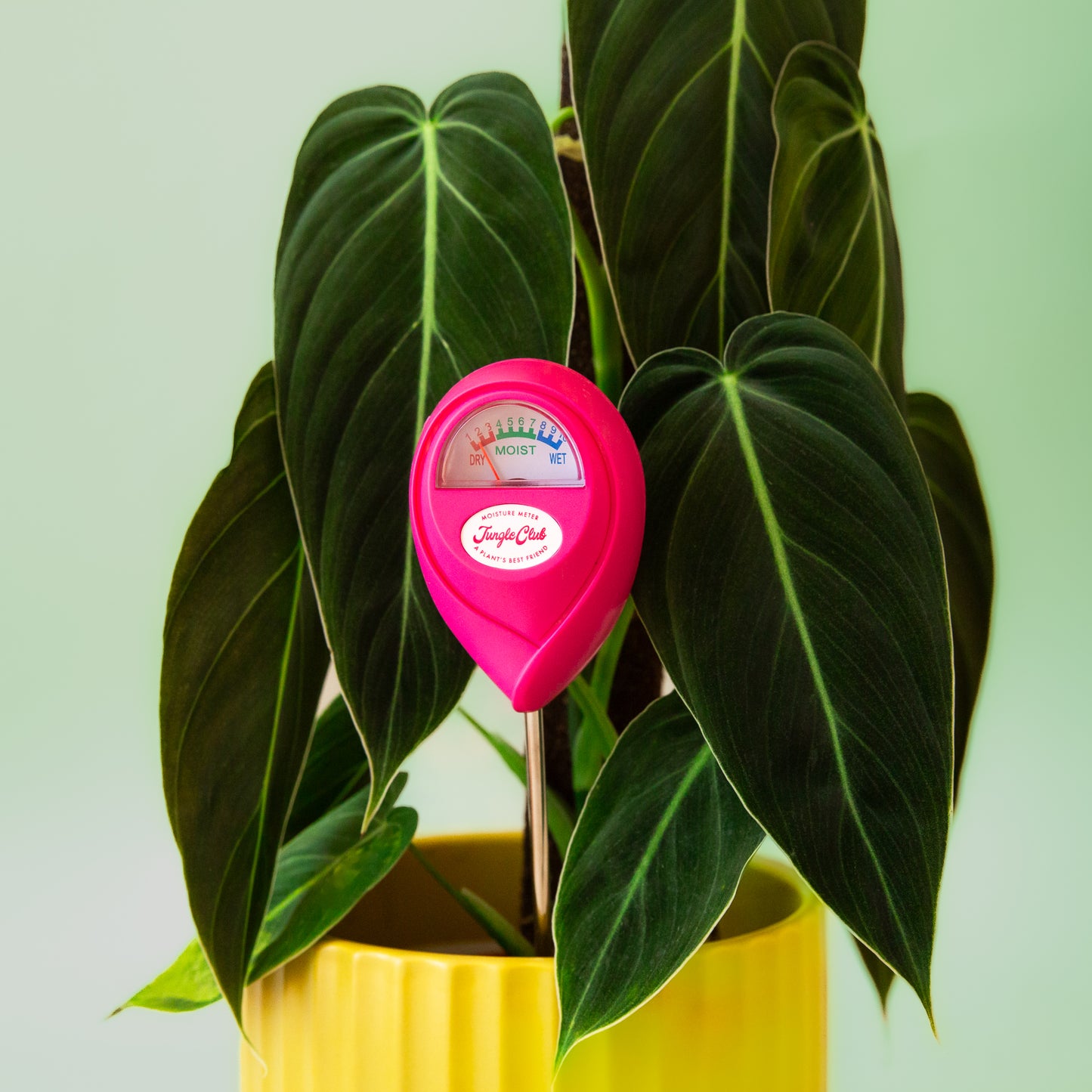 Moisture Meter