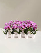 bundle | Set of 20 | Pink