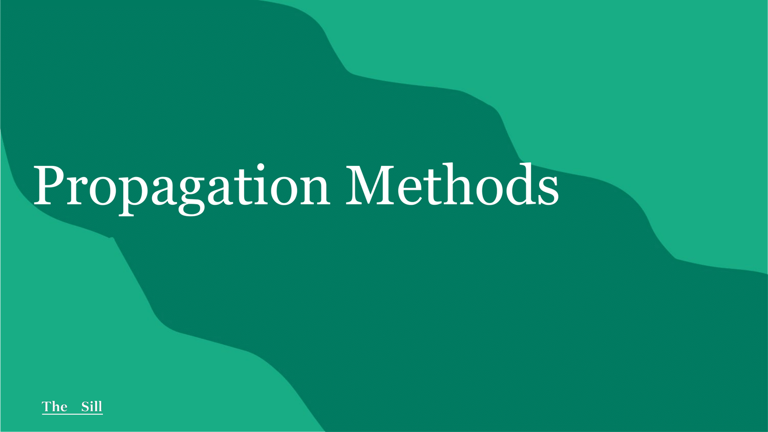 Propagation 101 | The Sill