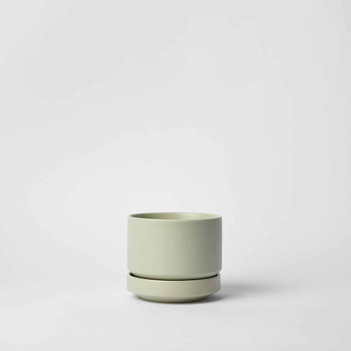 bundle | 4-inch | Mint