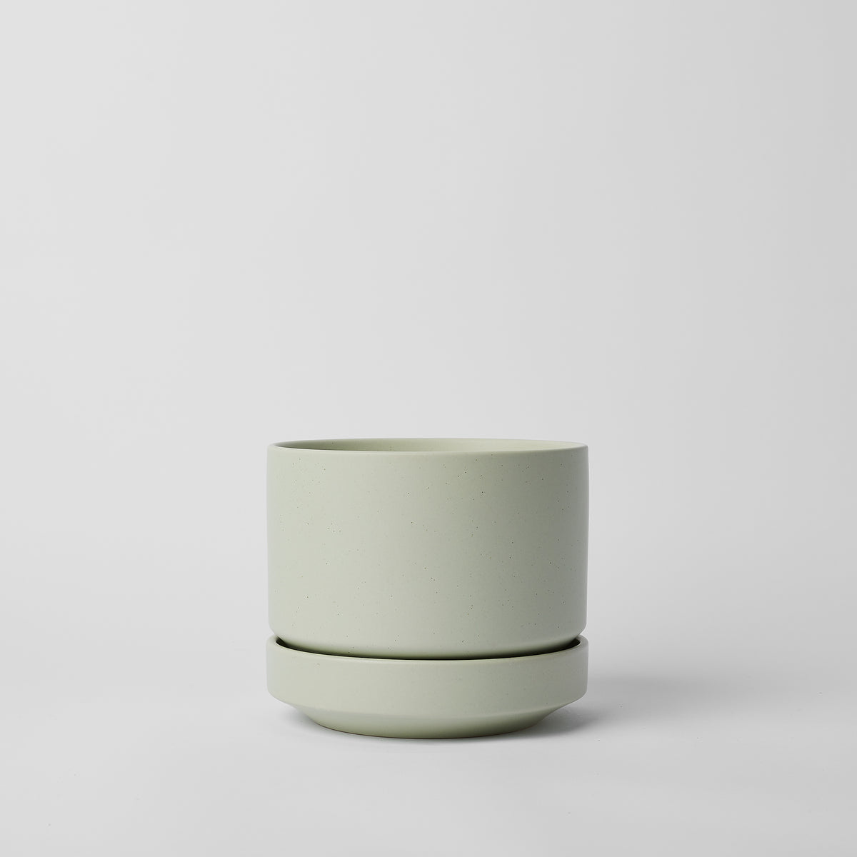 bundle | 6-inch | Mint