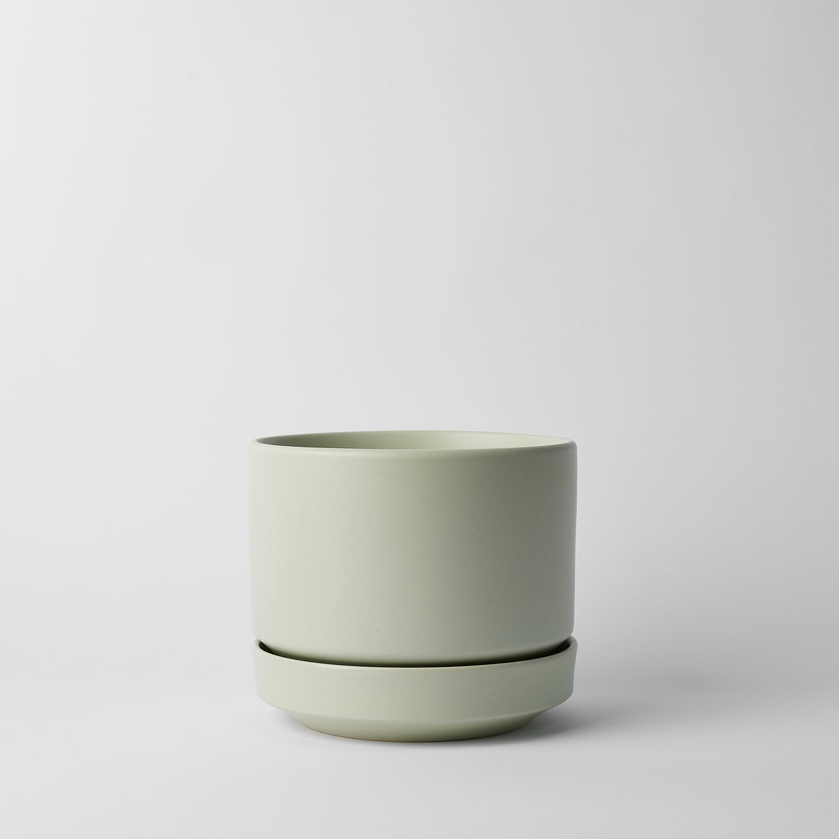bundle | 8-inch | Mint