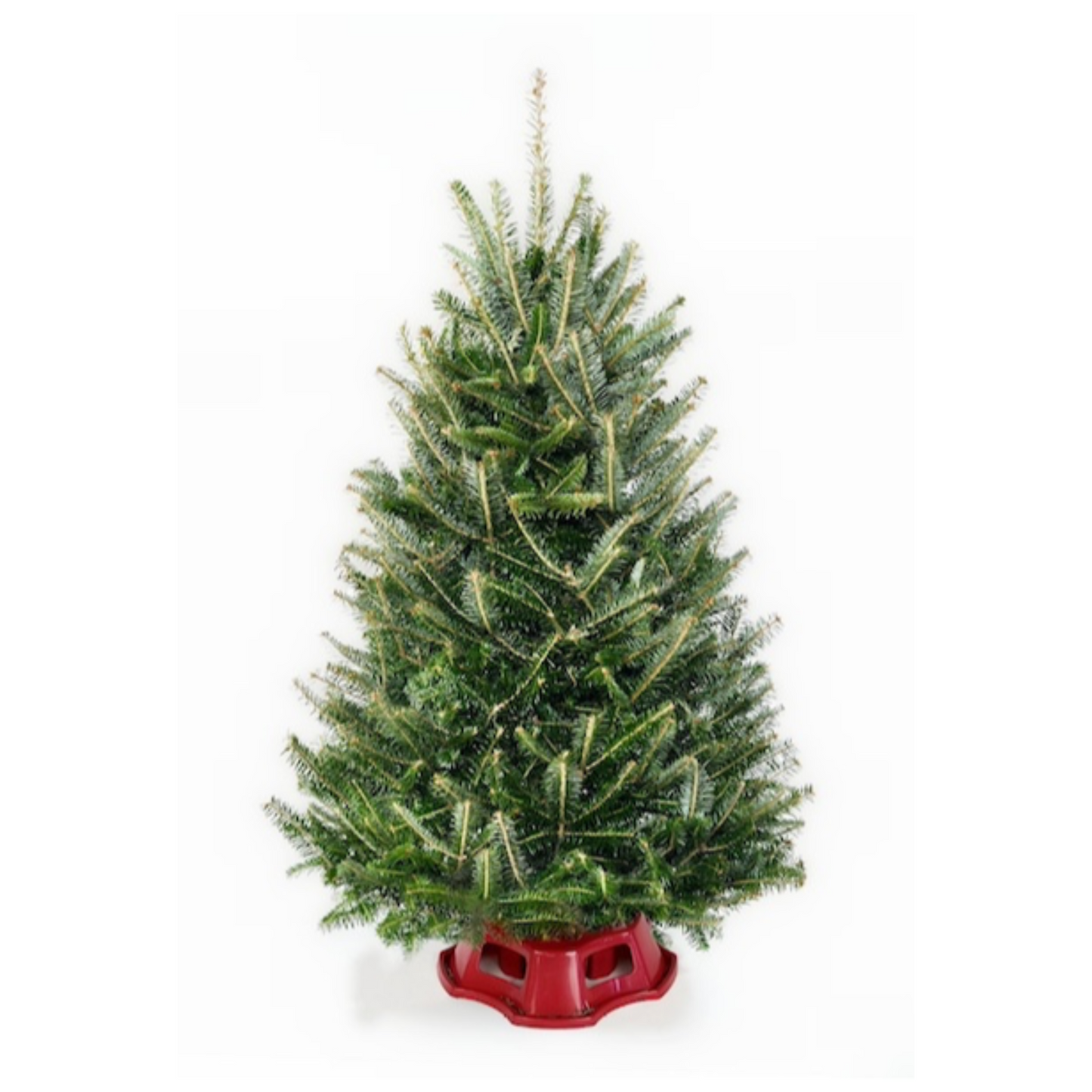 3-4 Ft. Tabletop Christmas Tree