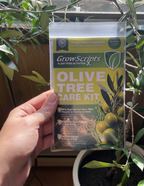 GrowScripts Olive Tree Care Kit