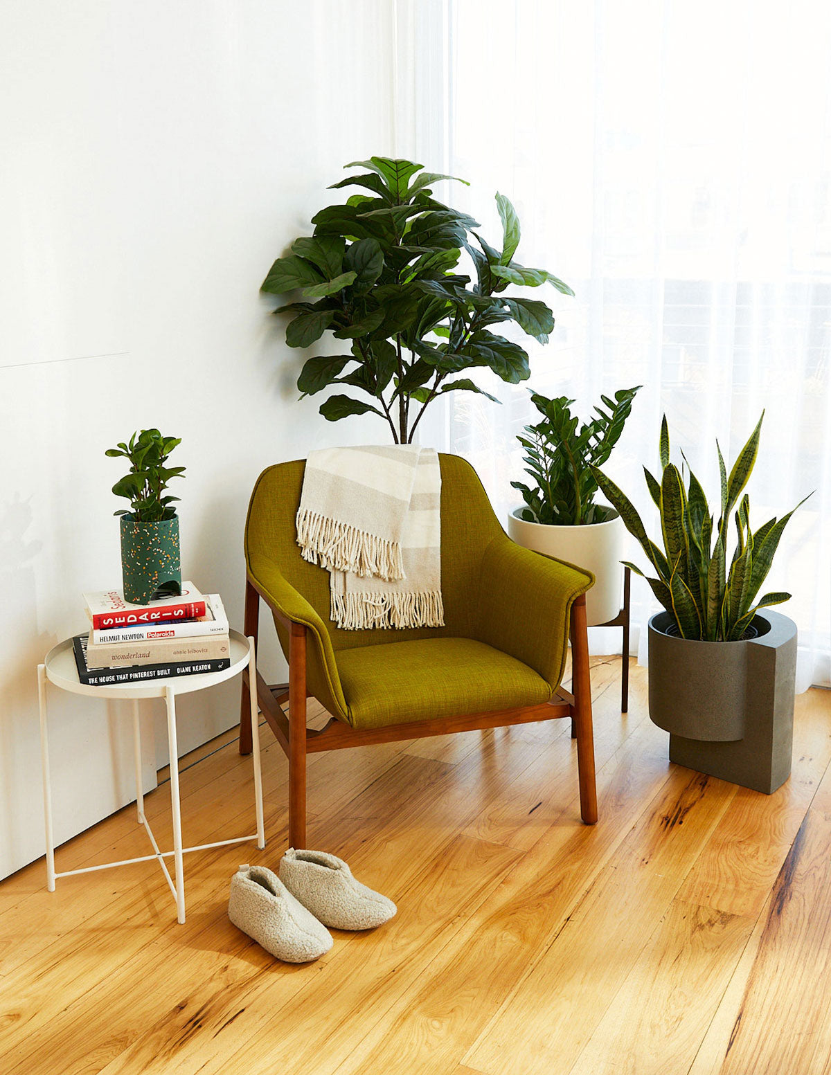 the sill faux rubber tree Fiddle Leaf Fig Bush Houseplant