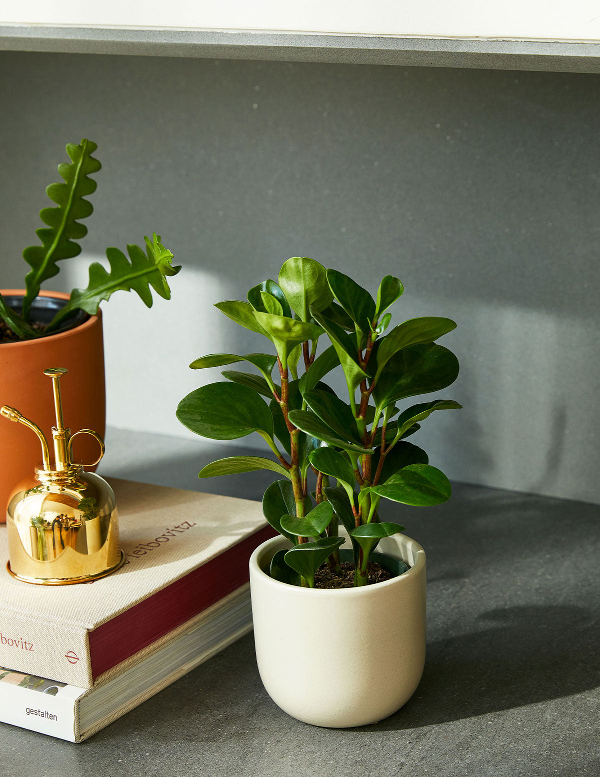 low indoor planter Black Grant Ceramic Planters Duo - Small (tall)