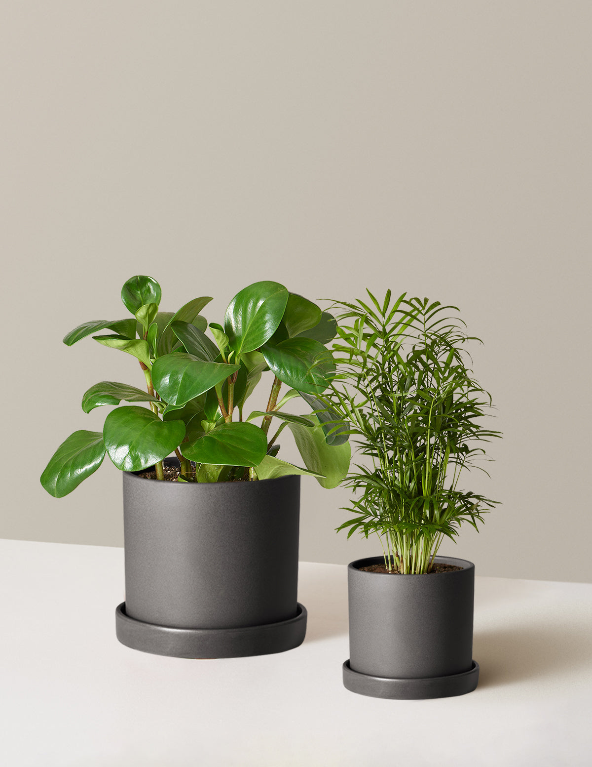 bundle | Hyde | Black