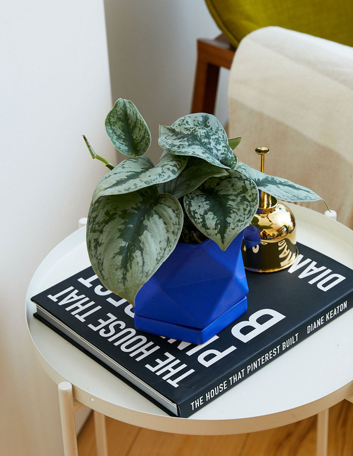 satin pothos plant for sale Satin Pothos Houseplant with Planter - Medium (8-10" tall) Mustard Planter