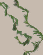 15 Ft. White Pine Garland