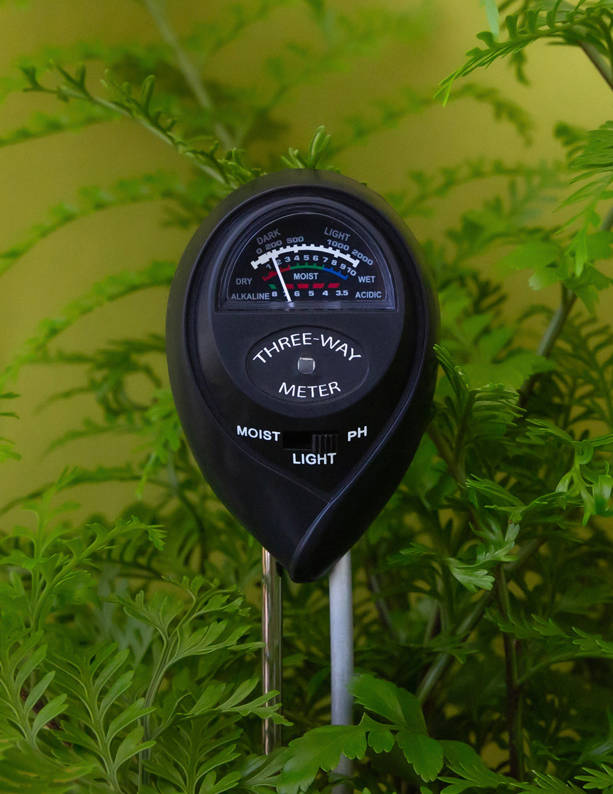 Moisture Meter