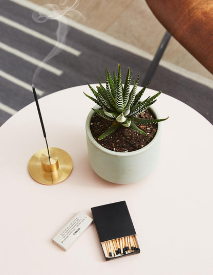 Succulent Squad Party Pack
