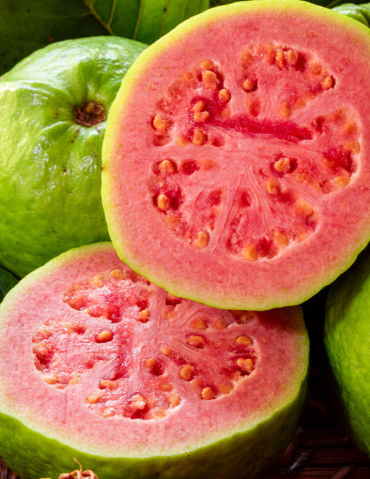 Ruby Supreme Guava Tree