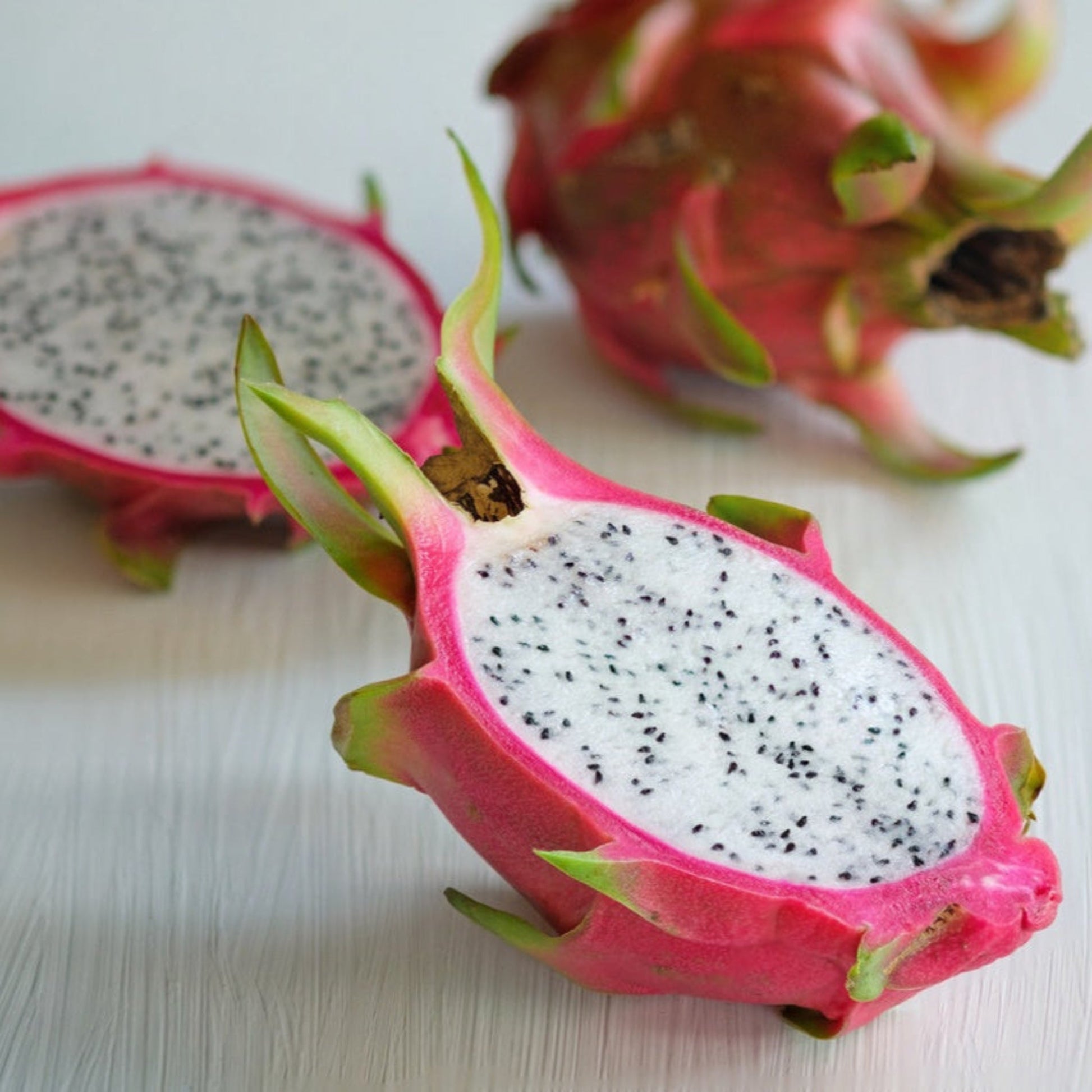 dragon fruit self-watering rolling planter White Dragon Fruit with Planter | 3 Gallon | Mexia