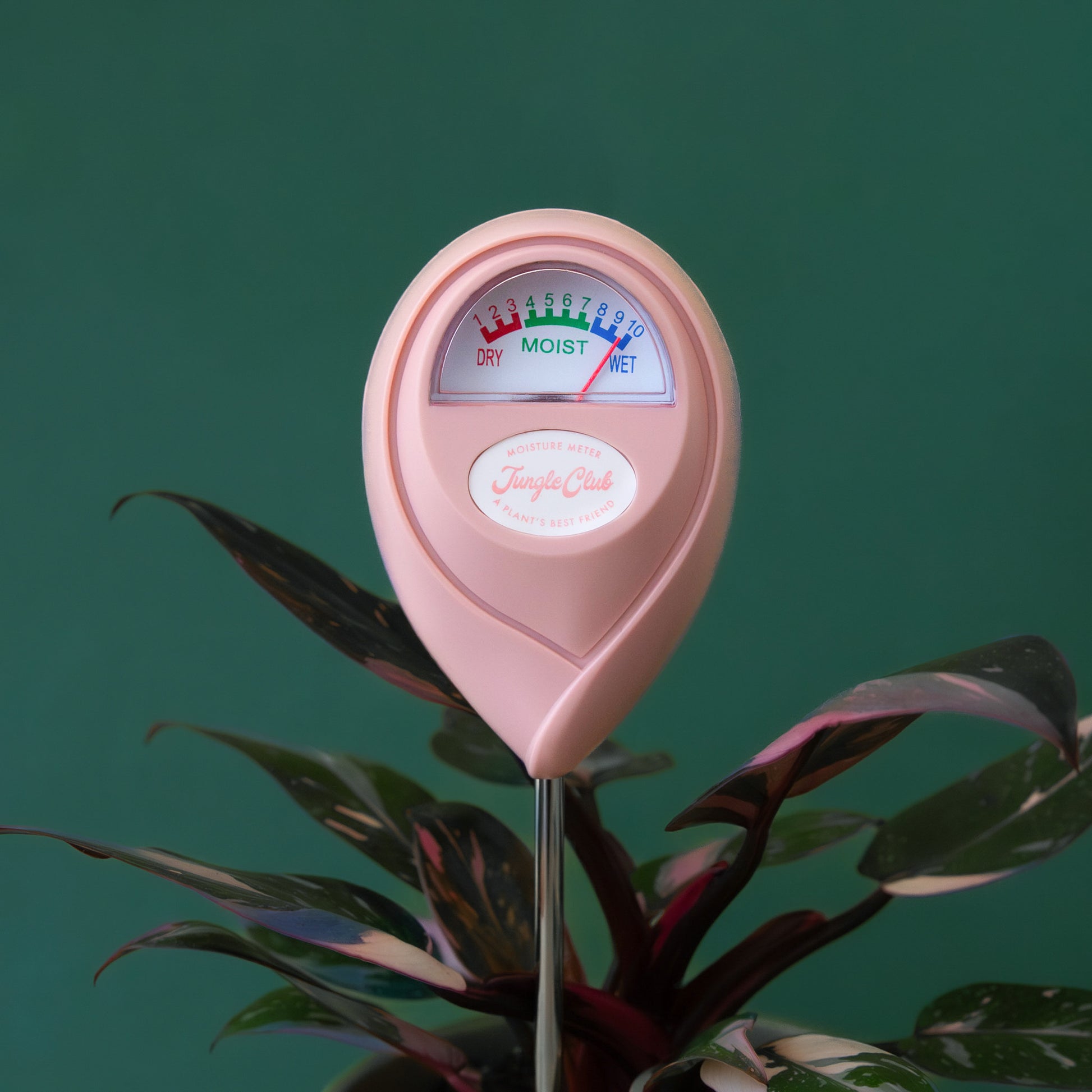 moisture meter succulents Moisture Meter