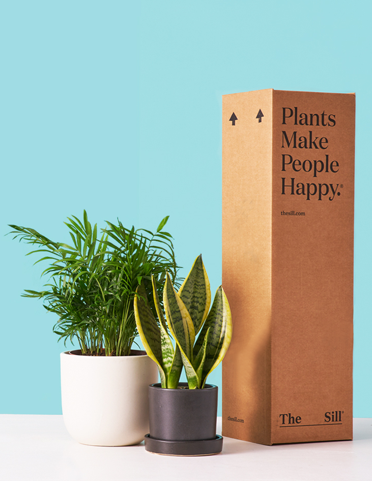Plant Of The Month Club