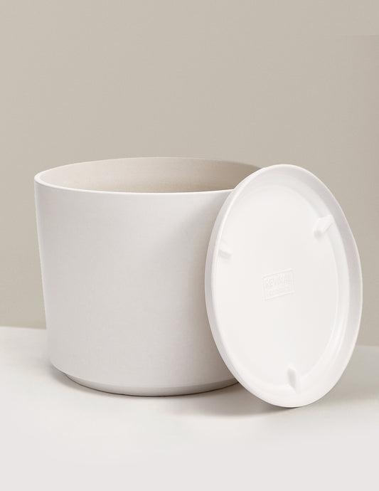 Revival Planter with Saucer