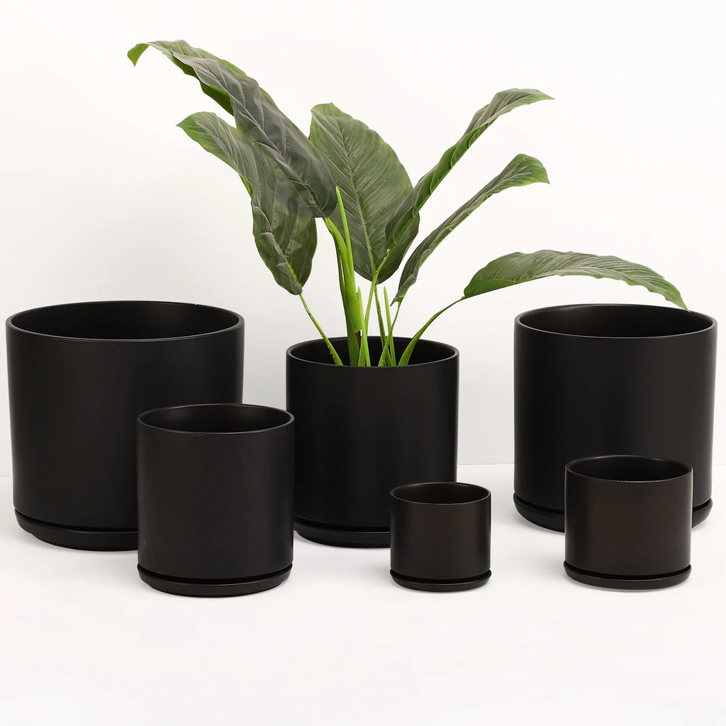 Revival Planter with Saucer