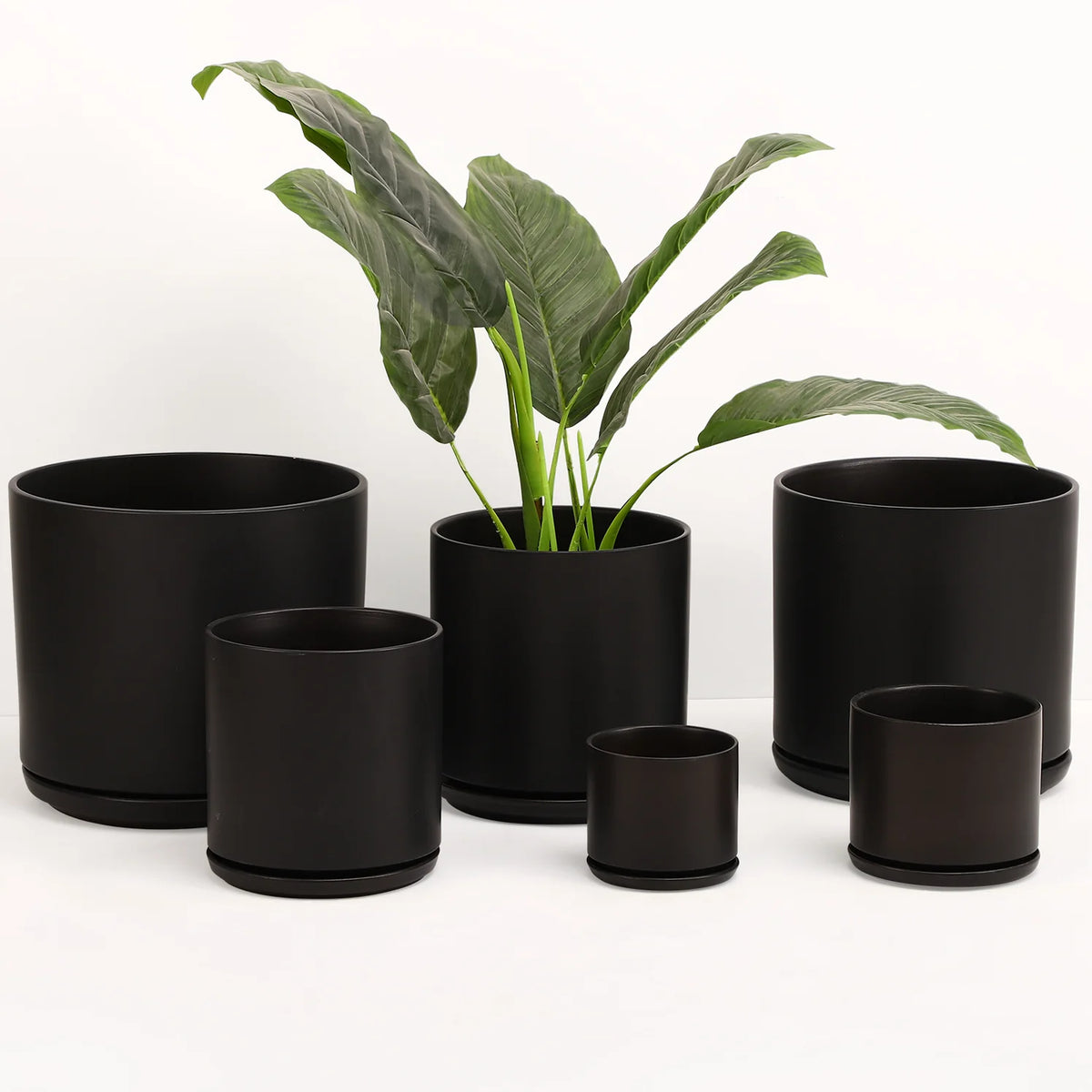 Revival Planter with Saucer