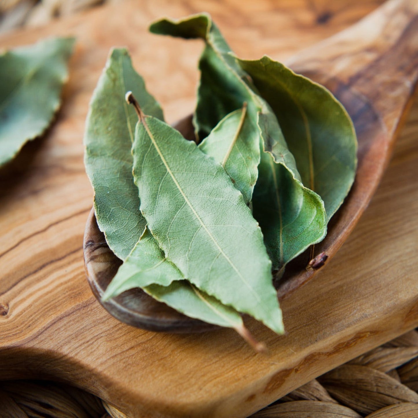 Bay Laurel