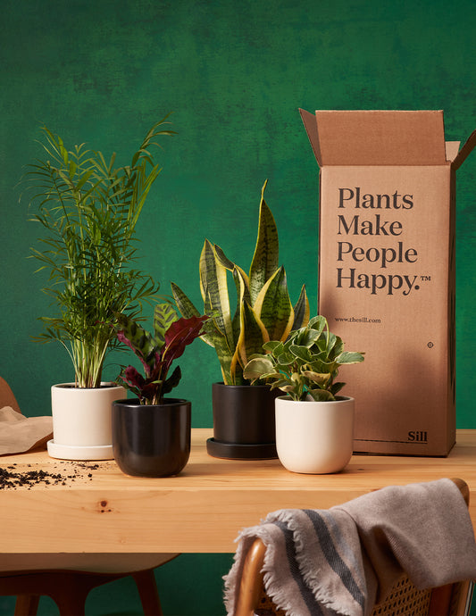 Plant Of The Month Club