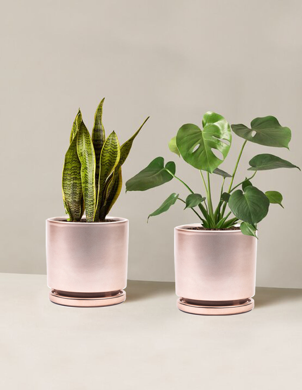 bundle | Medium | Isabella | Rose Gold