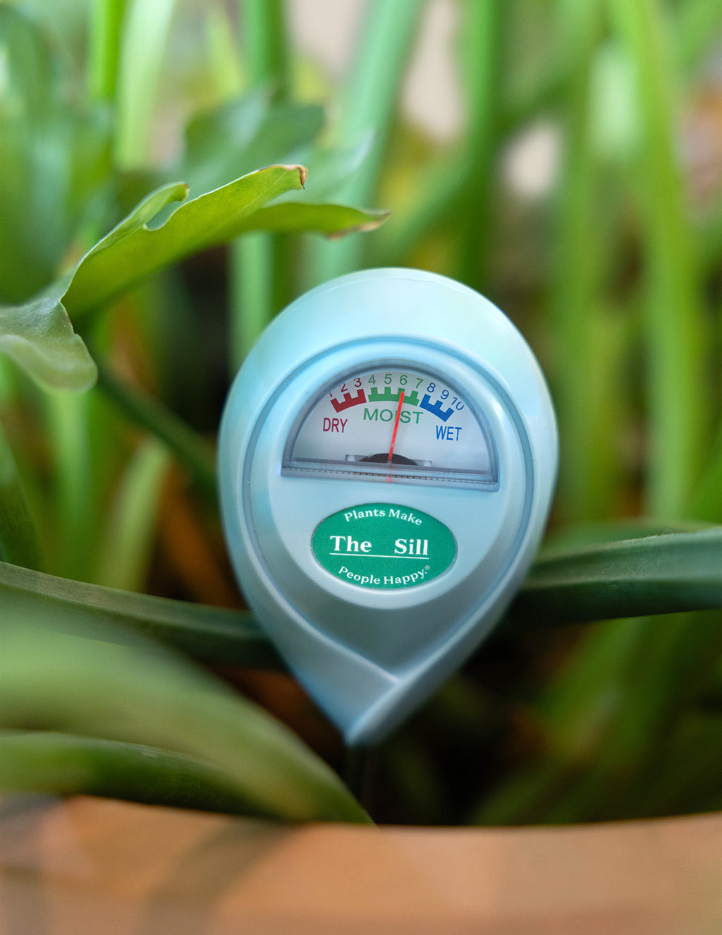 Moisture Meter