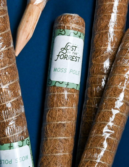 moss vs coco coir pole Coco Coir Pole | Shop Plant Accessories Online for Delivery