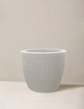European Round Planter
