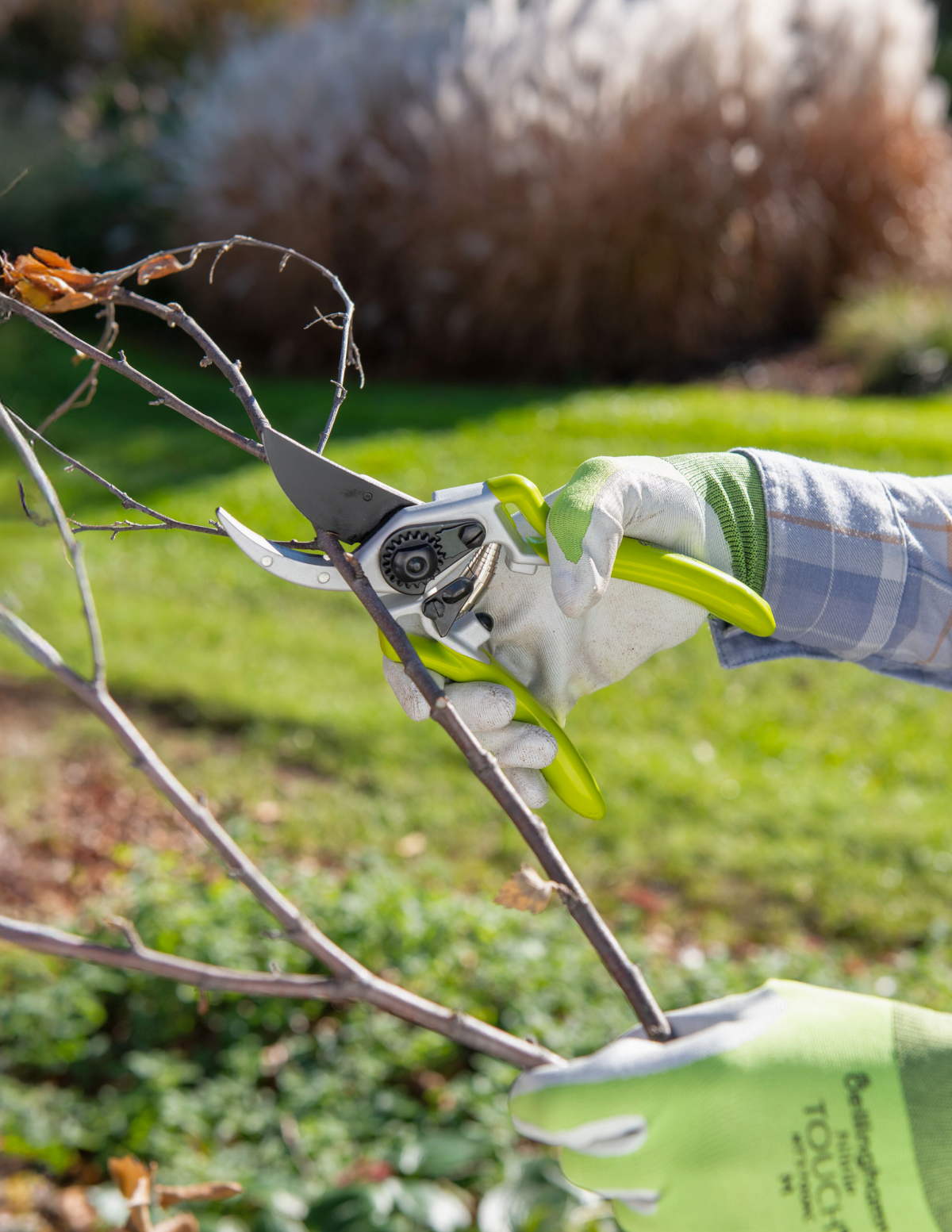 Gardener's Pro Pruner