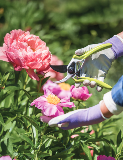 Gardener's Pro Pruner