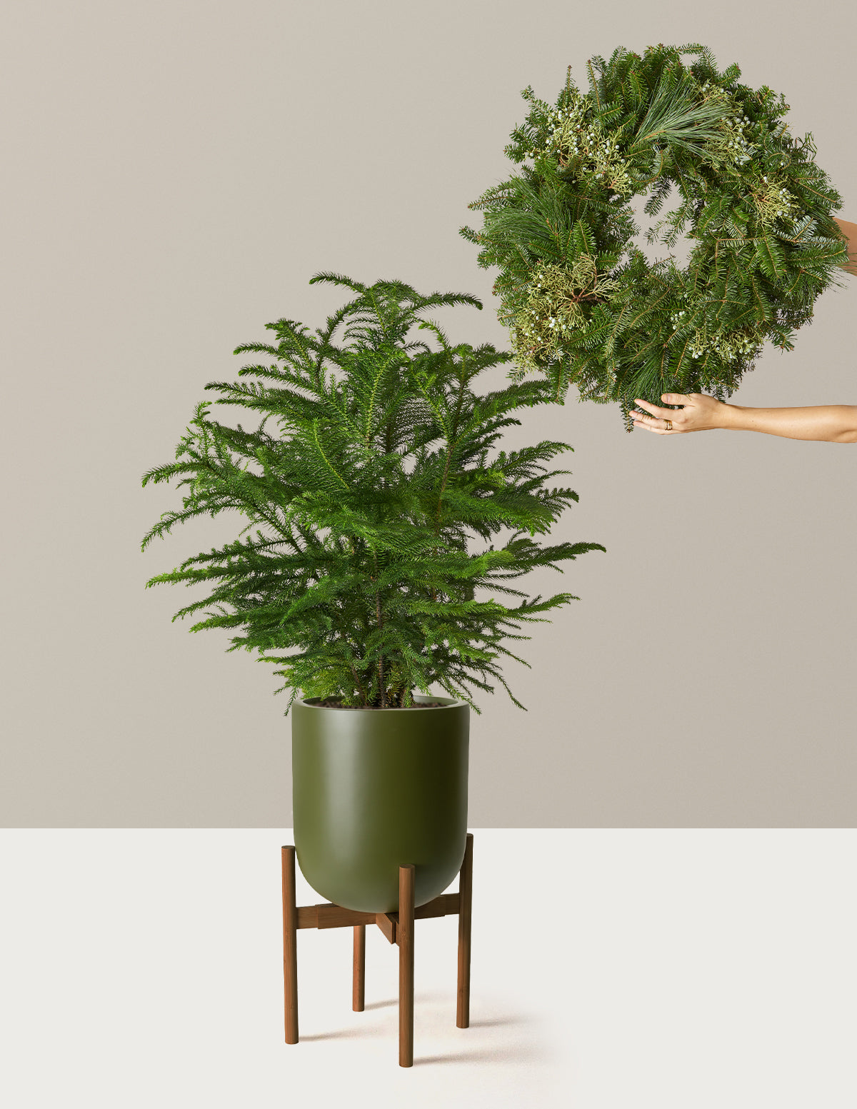 Holiday Duo Deluxe